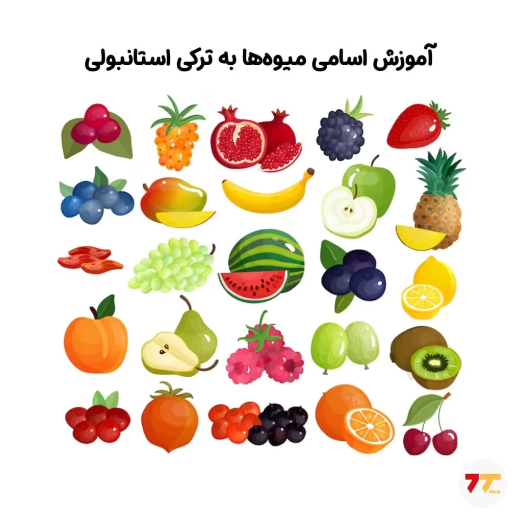 آموزش اسم بیش از 100 نوع میوه و سبزیجات به ترکی استانبولی