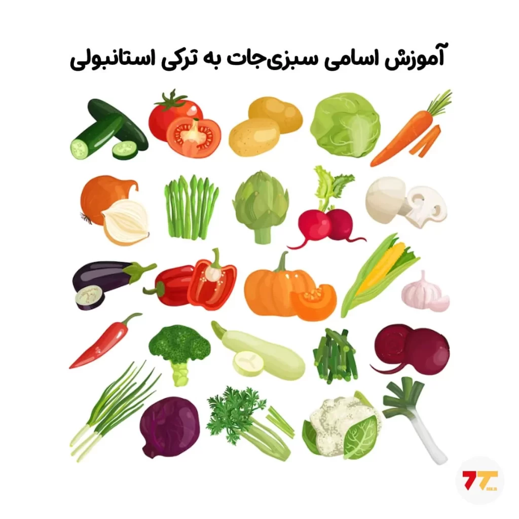 آموزش رایگان بیش از 100 اسم میوه و سبزیجات به ترکی استانبولی