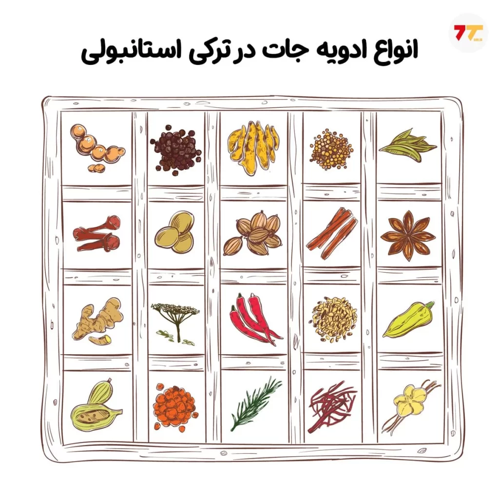 انواع ادویه جات در ترکی استانبولی