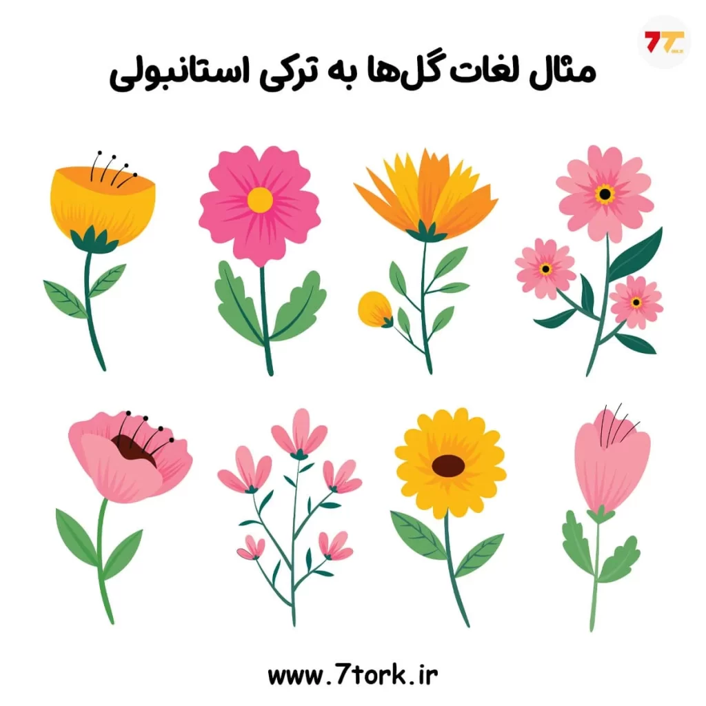 مثال لغات گل ها به ترکی استانبولی