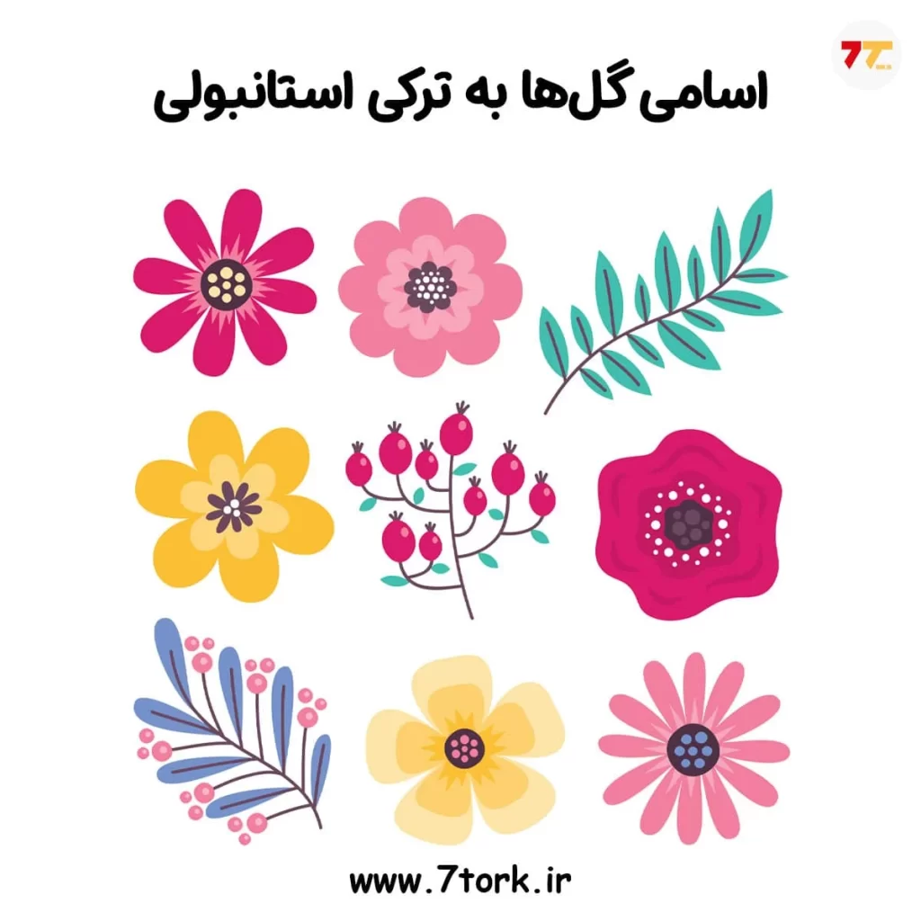 اسامی گل ها به ترکی استانبولی