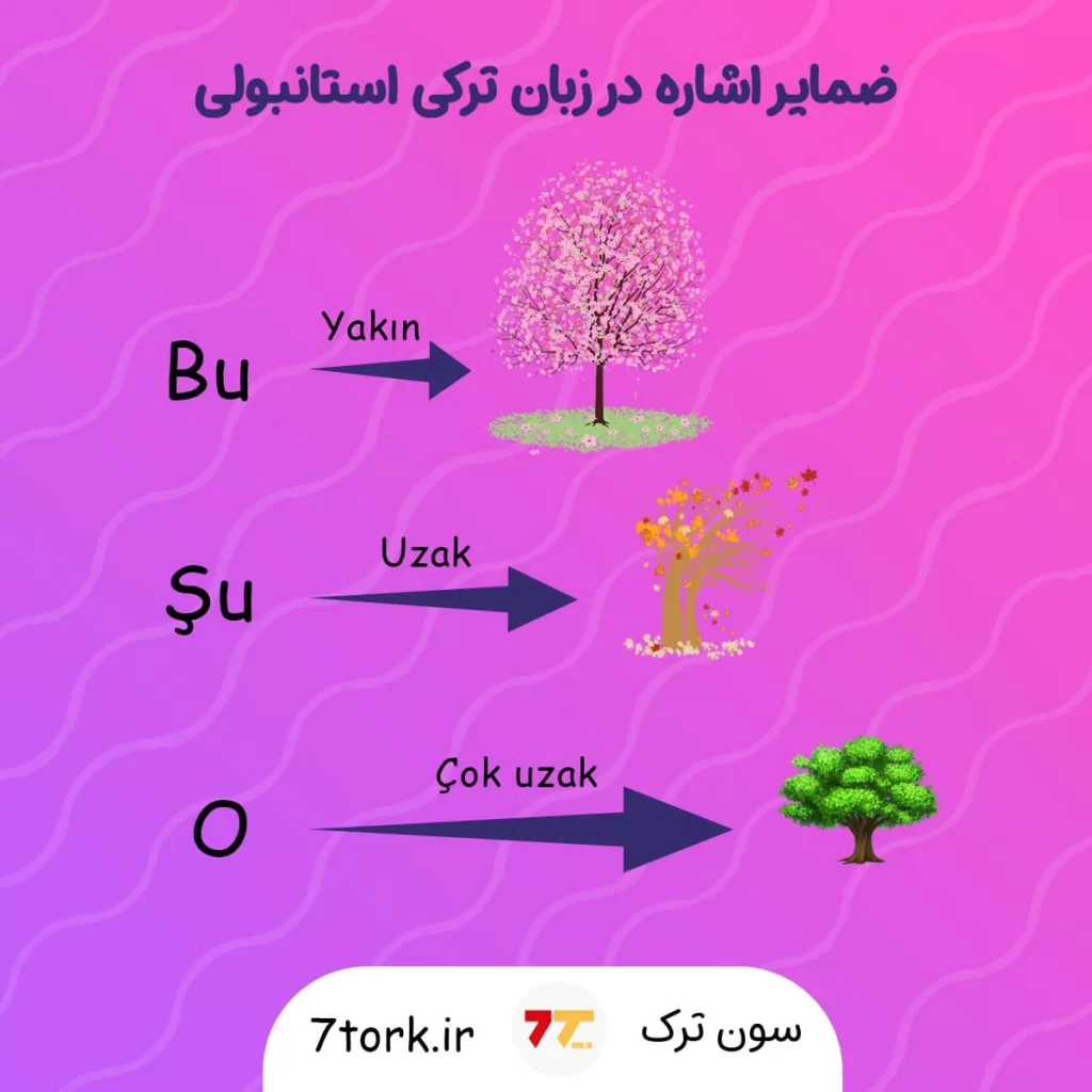 آموزش تصویری ضمایر اشاره در زبان ترکی استانبولی
