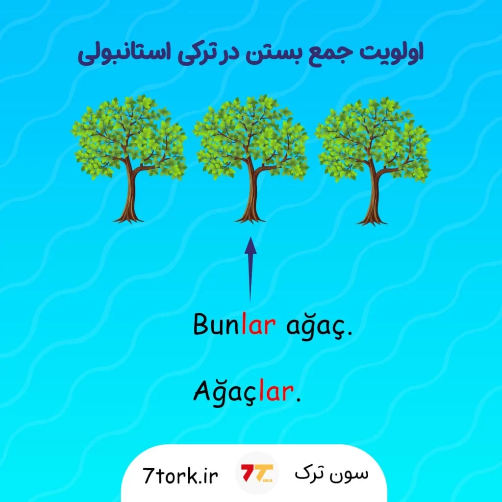 آموزش رایگان الویتبندی جمع بستن در زبان ترکی برای ضمایر اشاره