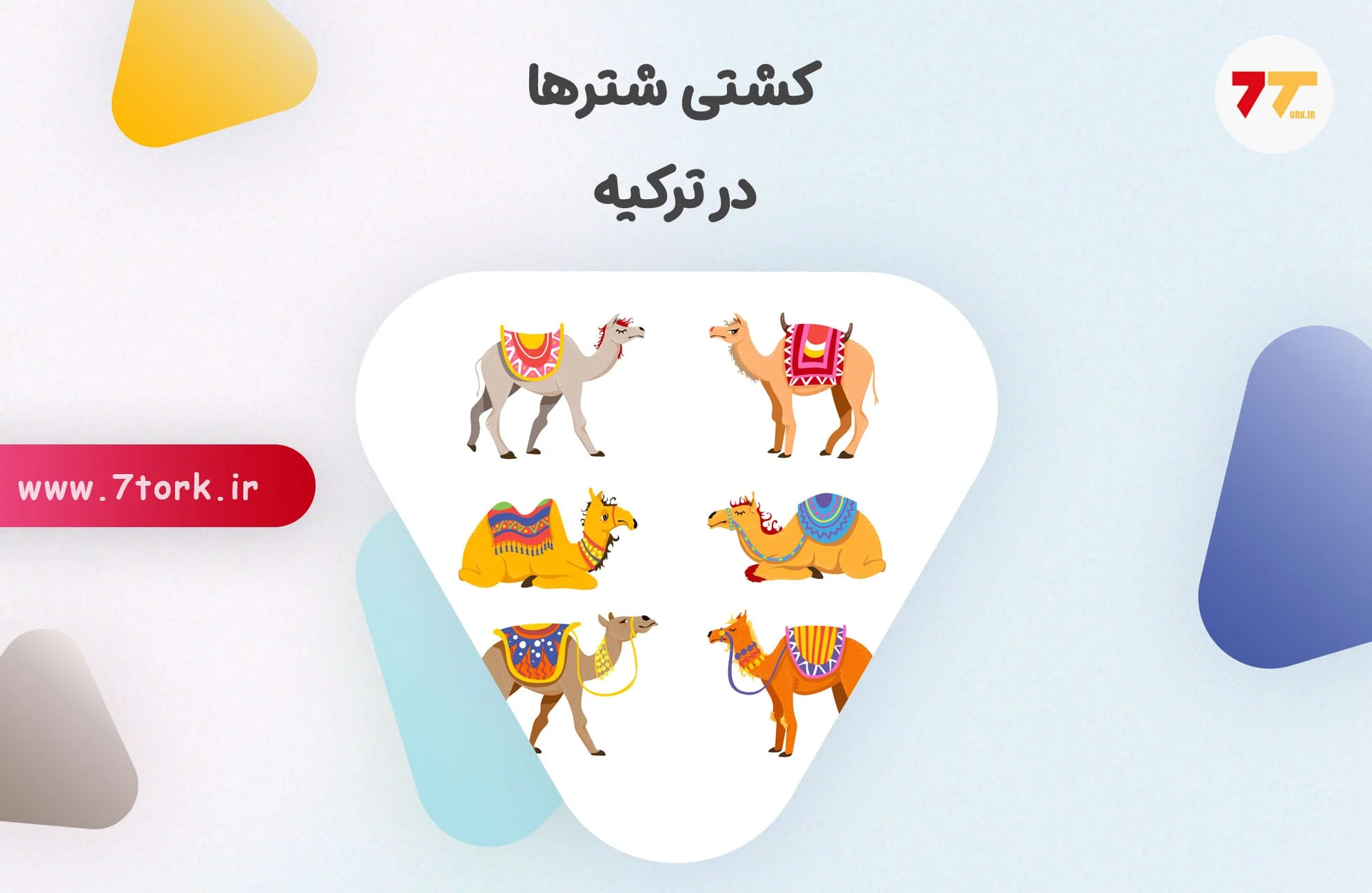 کشتی شترها در ترکیه یک رسم 2000 ساله